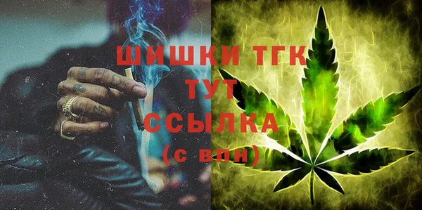 тгк Вяземский