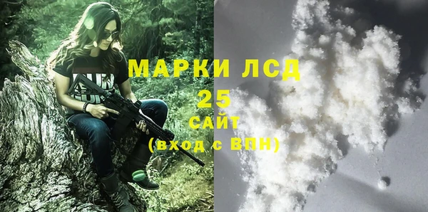 ПСИЛОЦИБИНОВЫЕ ГРИБЫ Вязники