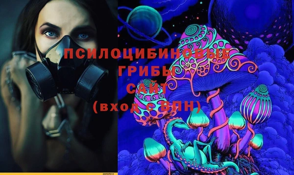 тгк Вяземский