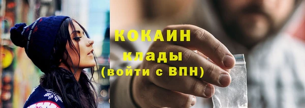 ПСИЛОЦИБИНОВЫЕ ГРИБЫ Вязники