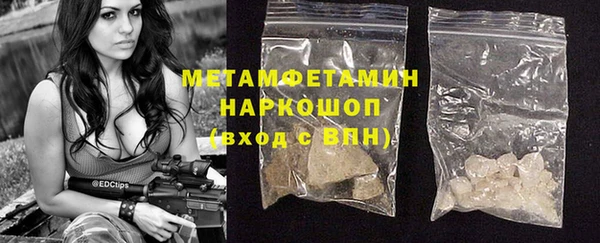 ПСИЛОЦИБИНОВЫЕ ГРИБЫ Вязники