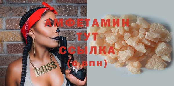 ПСИЛОЦИБИНОВЫЕ ГРИБЫ Вязники