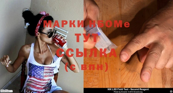 ПСИЛОЦИБИНОВЫЕ ГРИБЫ Вязники