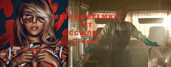 ПСИЛОЦИБИНОВЫЕ ГРИБЫ Вязники