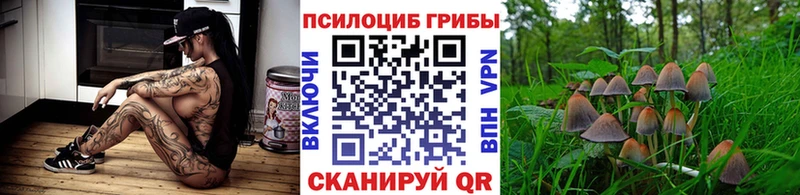 Псилоцибиновые грибы ЛСД  Купить закладки  Лобня 